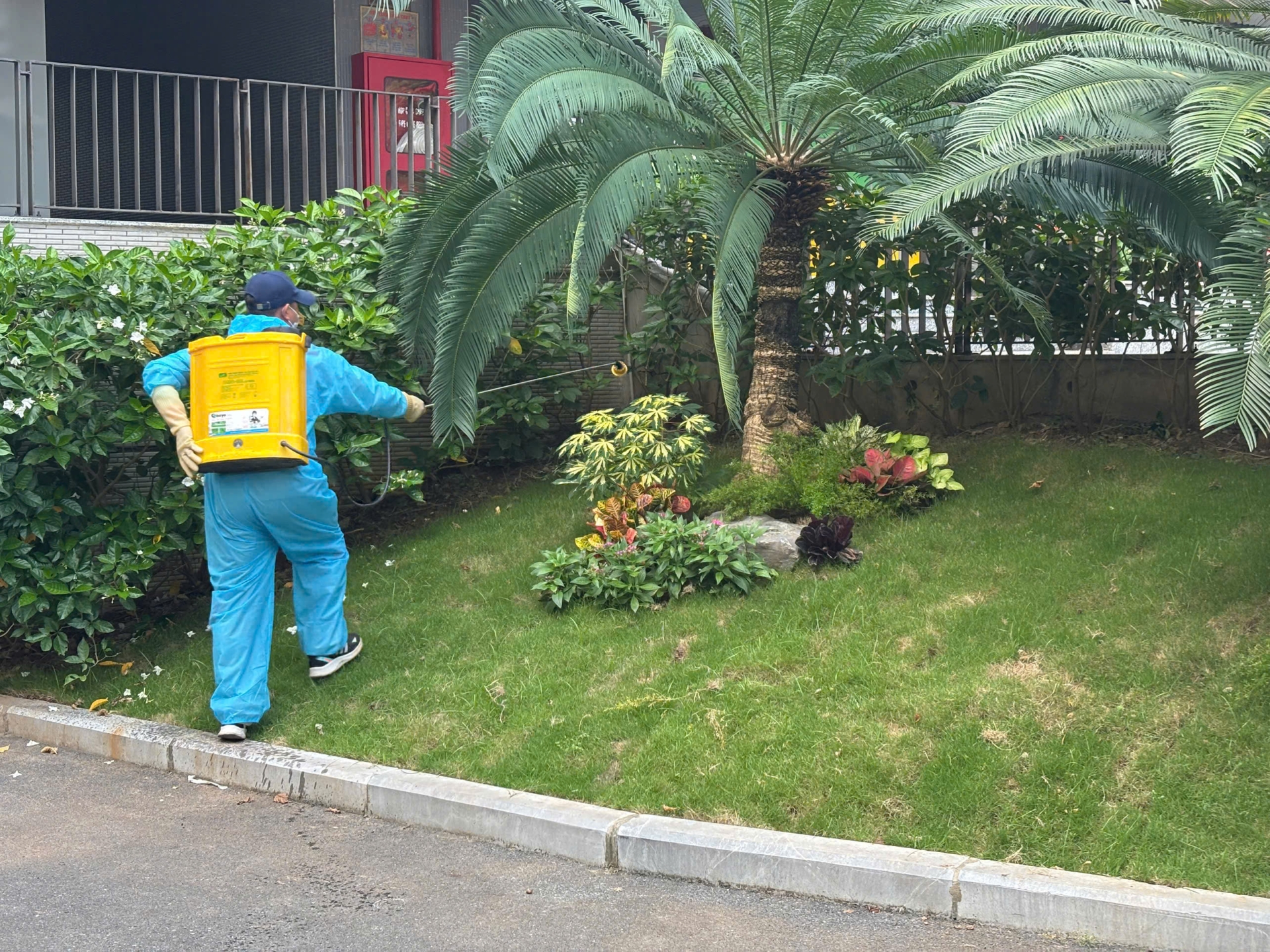 VINA2 phun thuốc diệt côn trùng tại Trường THCS Trần Duy Hưng