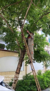 VINA2.2 KHẮC PHỤC SỰ CỐ SAU BÃO – ĐẢM BẢO AN TOÀN CHO CƯ DÂN